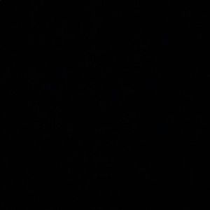 Meet your Posher, Zeinah